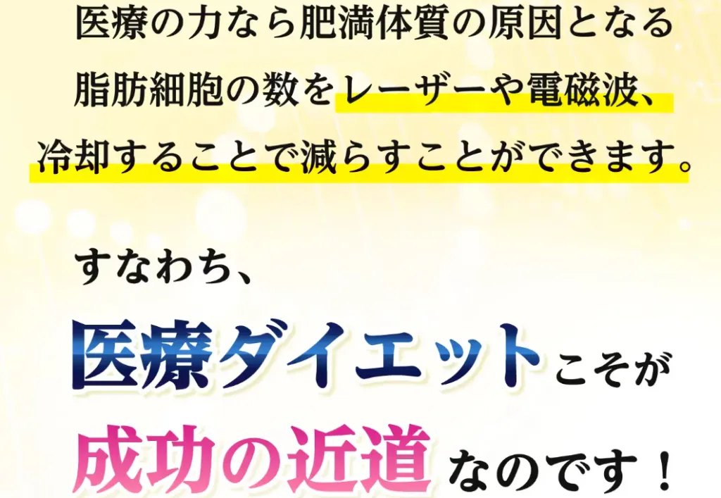 医療ダイエットの説明