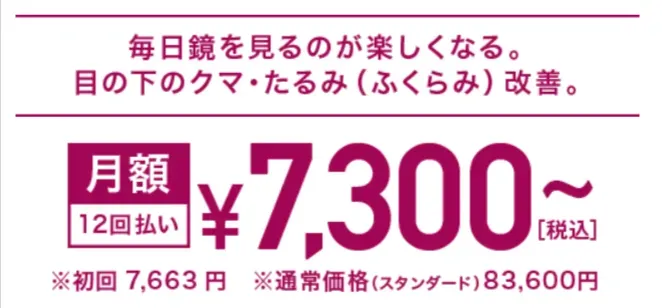 TCBのクマ取りスタンダード・スーパーナチュラルの月額料金