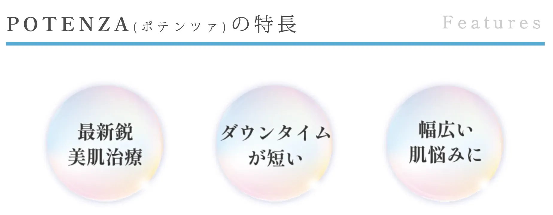 ポテンツァの特徴