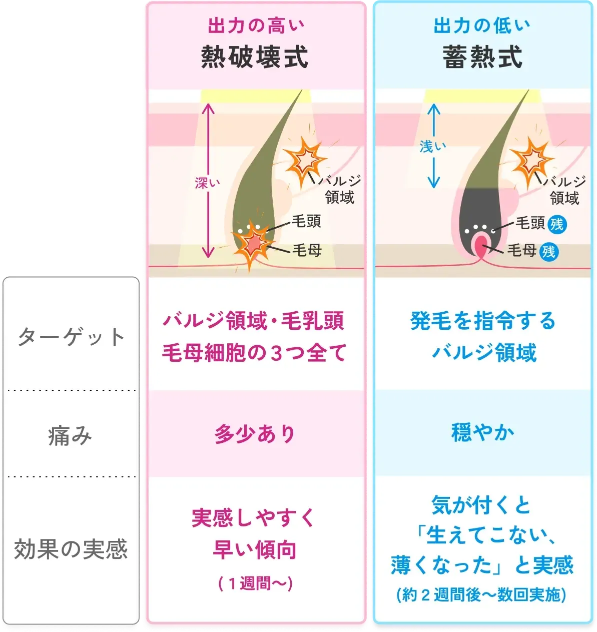 エミナルクリニックは熱破壊式と蓄熱式の両方を使い分けて照射
