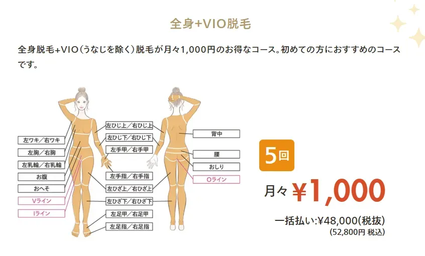 全身+VIO脱毛 料金