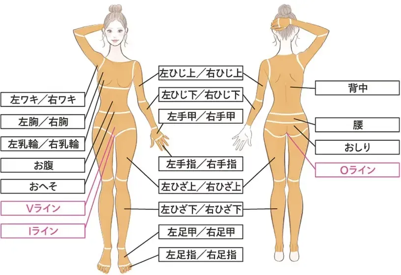 名古屋の医療脱毛で選べる様々な脱毛部位