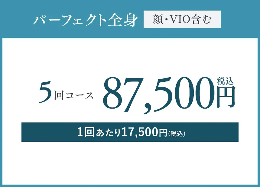 湘南美容クリニックのパーフェクト全身プラン