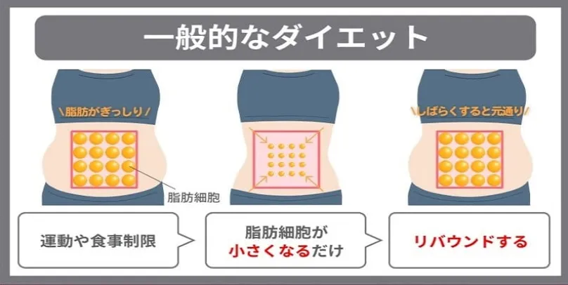 ディオクリニック広島院
口コミ レビュー
一般的なダイエットの画像