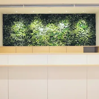 ルシアクリニック 全国15院のジェントルマックスプロによる施術を受ける前の受付