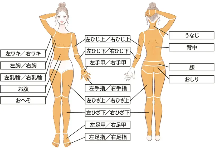 脱毛28箇所