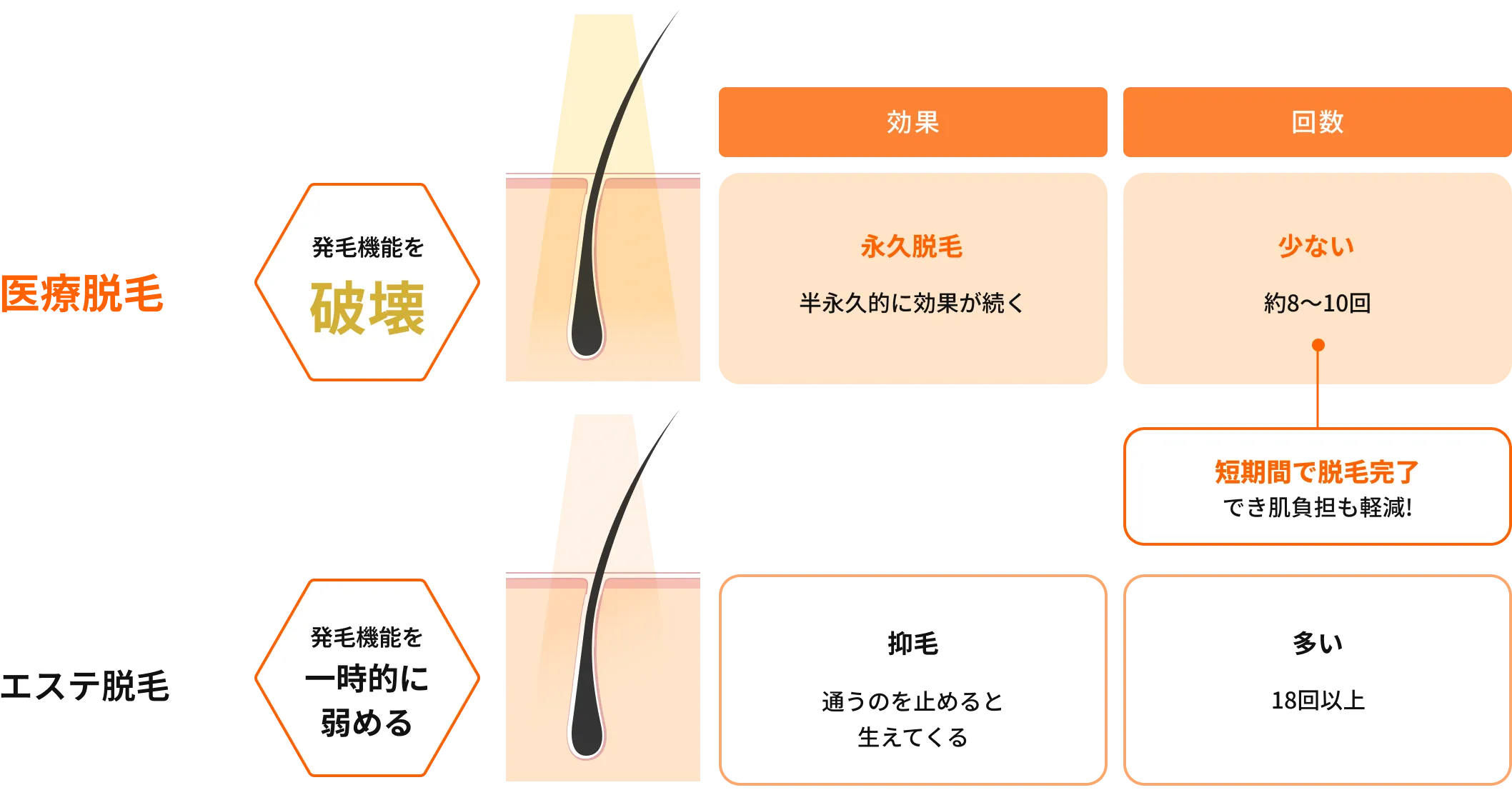 脱毛種類の比較画像