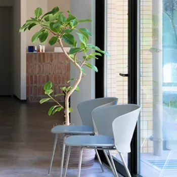 なつこクリニックのイオン導入を受ける前の待合室