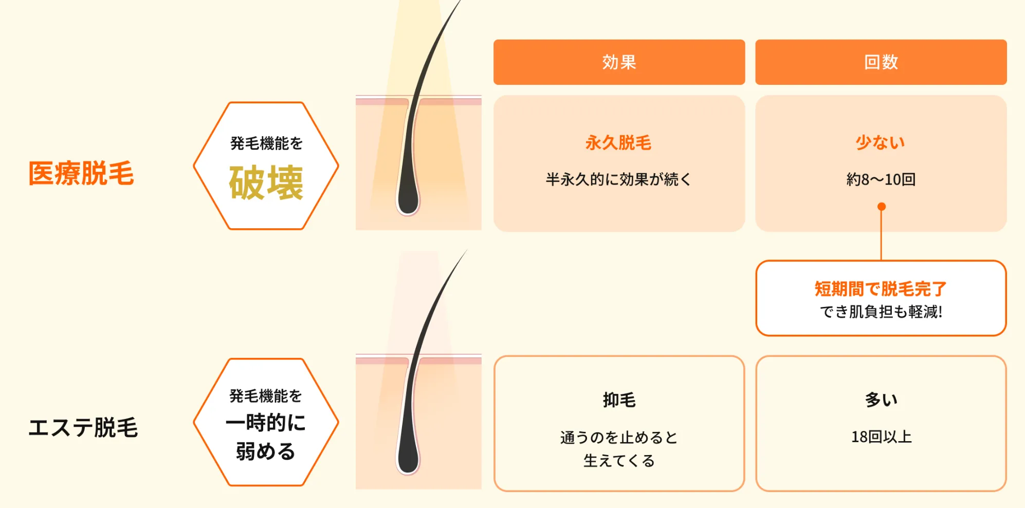 レジーナ 医療脱毛とエステ脱毛の違い画像