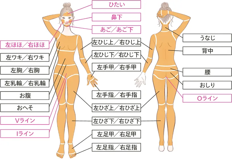 レジーナクリニック　全身脱毛
＋VIO＋顔の画像