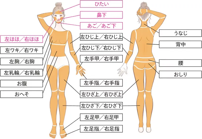 レジーナクリニック　全身脱毛＋顔の画像