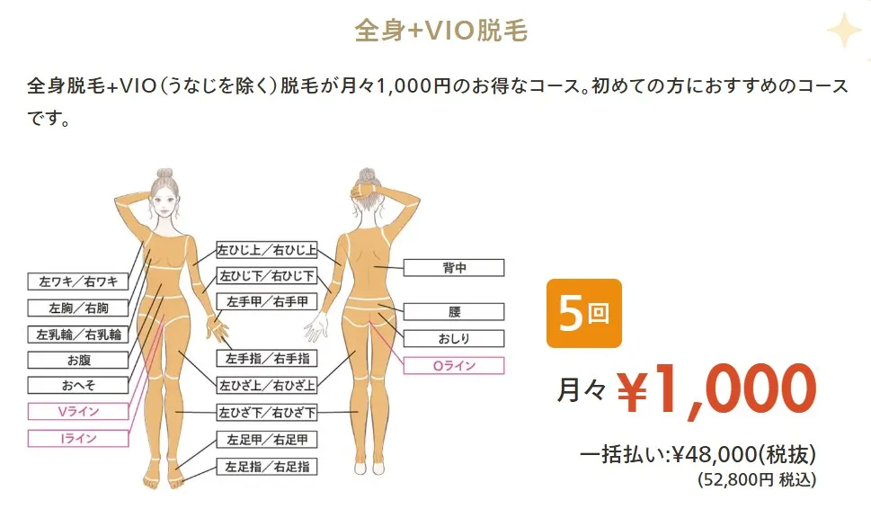 レジーナクリニックのデビュープラン3