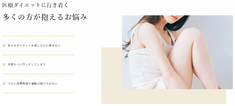 ディオクリニック・医療ダイエットに行き着くお悩み画像