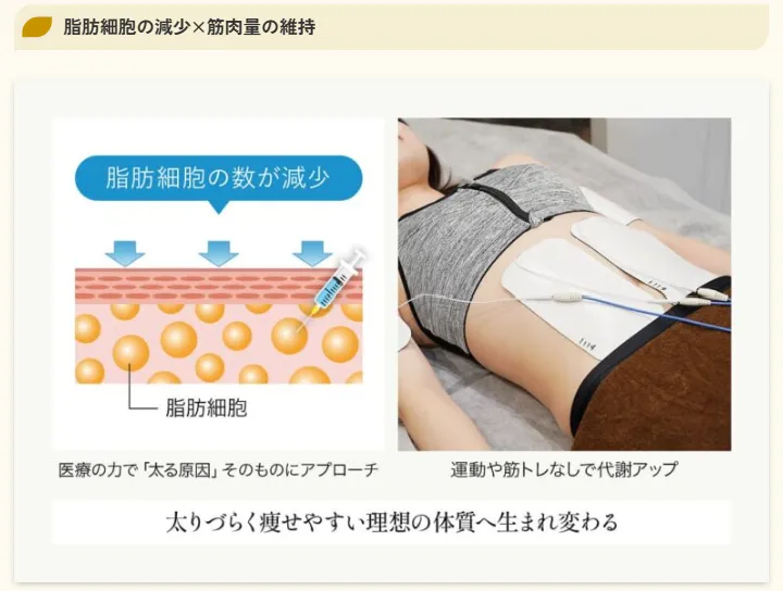ディオクリニック　医療ダイエットの仕組みの画像