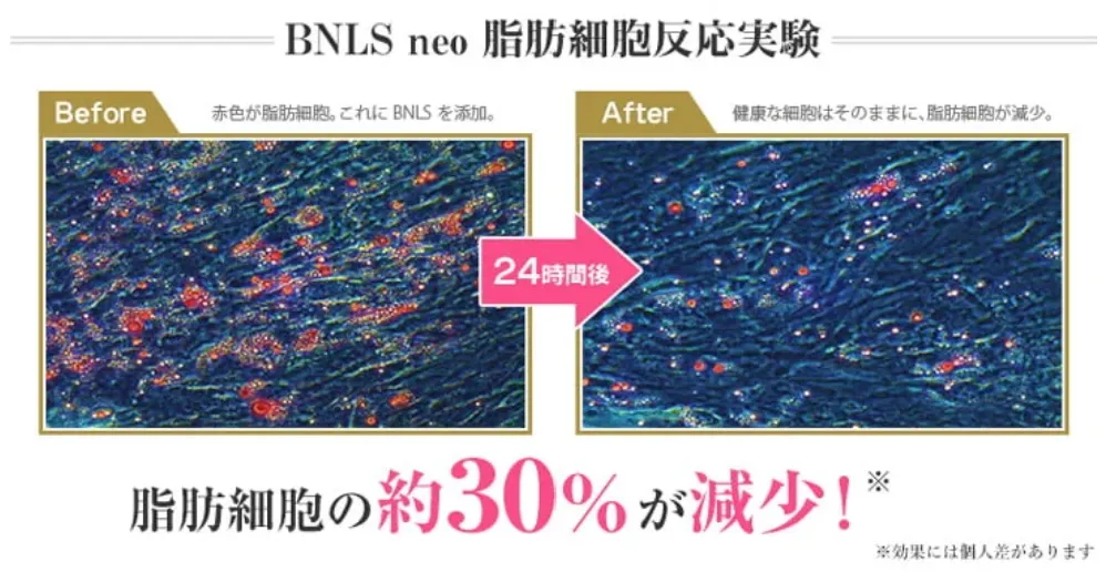 TCB　BNLS脂肪細胞反応実験の画像