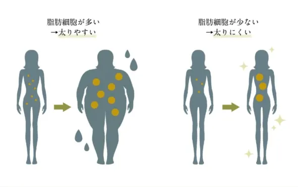 比較表
