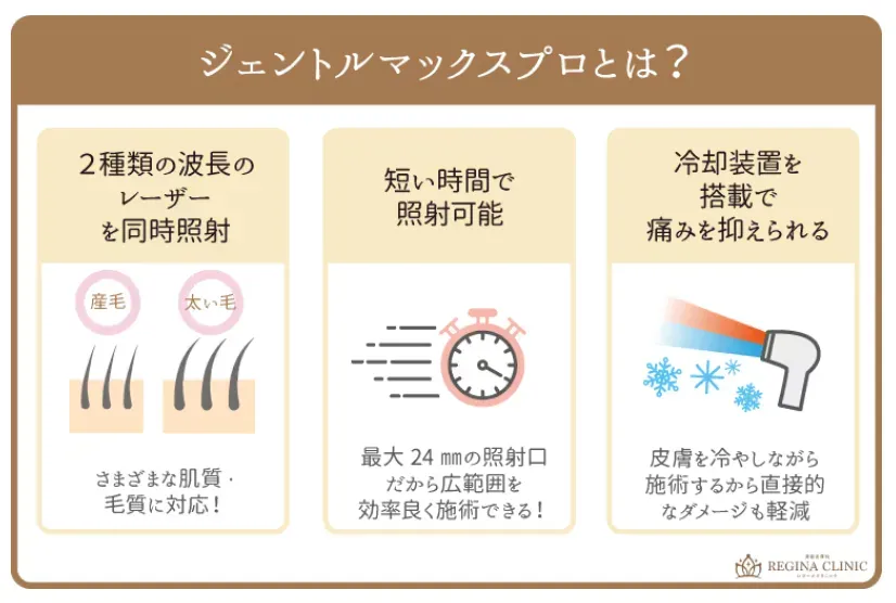 ジェントルマックスプロとは