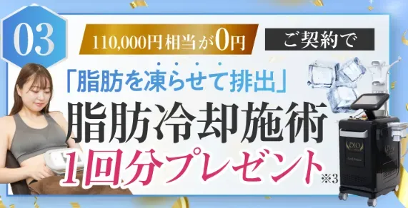 ディオクリニック脂肪冷却施術