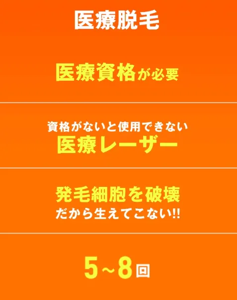 レジーナクリニックの医療脱毛の説明