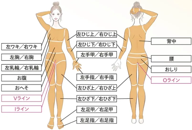 医療脱毛の実際に施術できる箇所