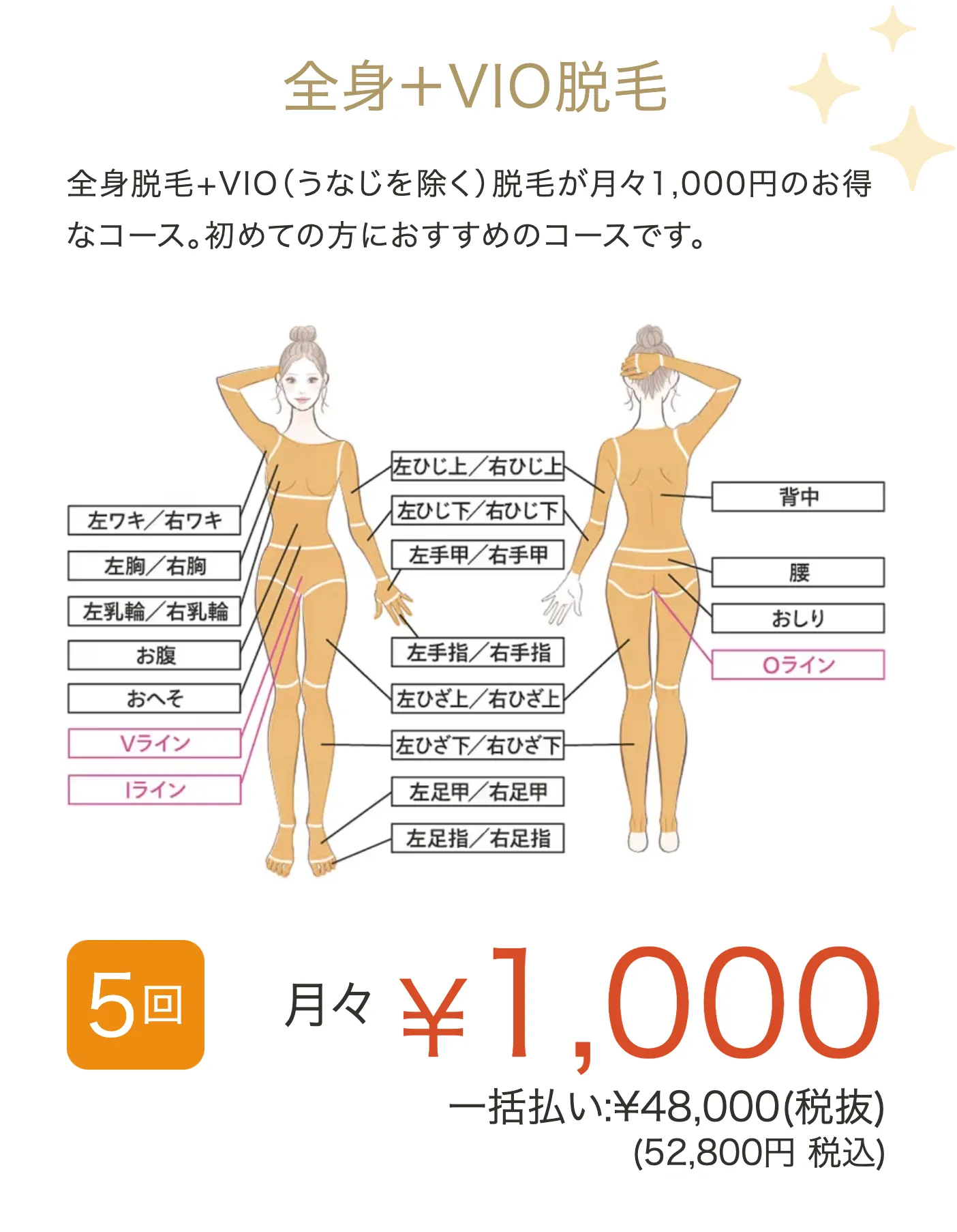 レジーナクリニックの全身+VIO5回の医療脱毛の月々の料金