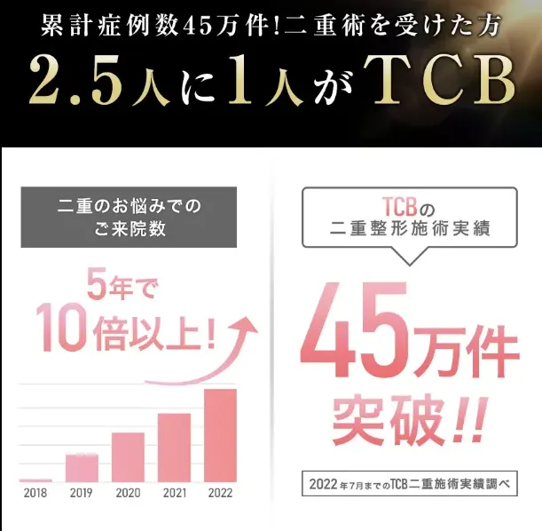 TCB実績の画像