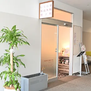 いちのせ形成外科皮膚科の入り口