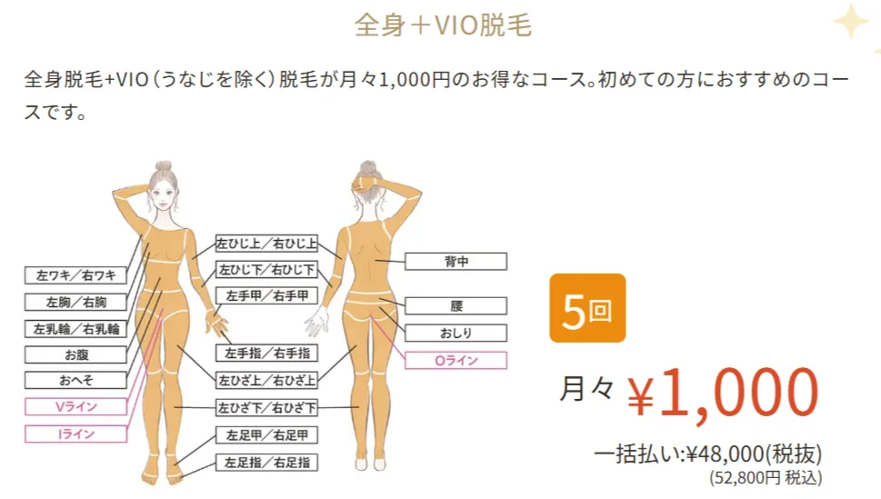 レジーナクリニックの医療脱毛は5回コース月々1,000円から