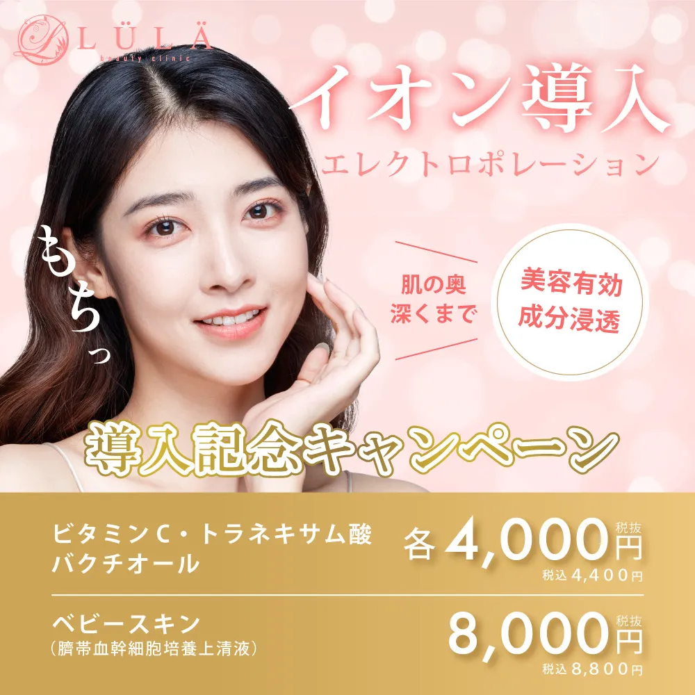 ルラ　イオン挿入