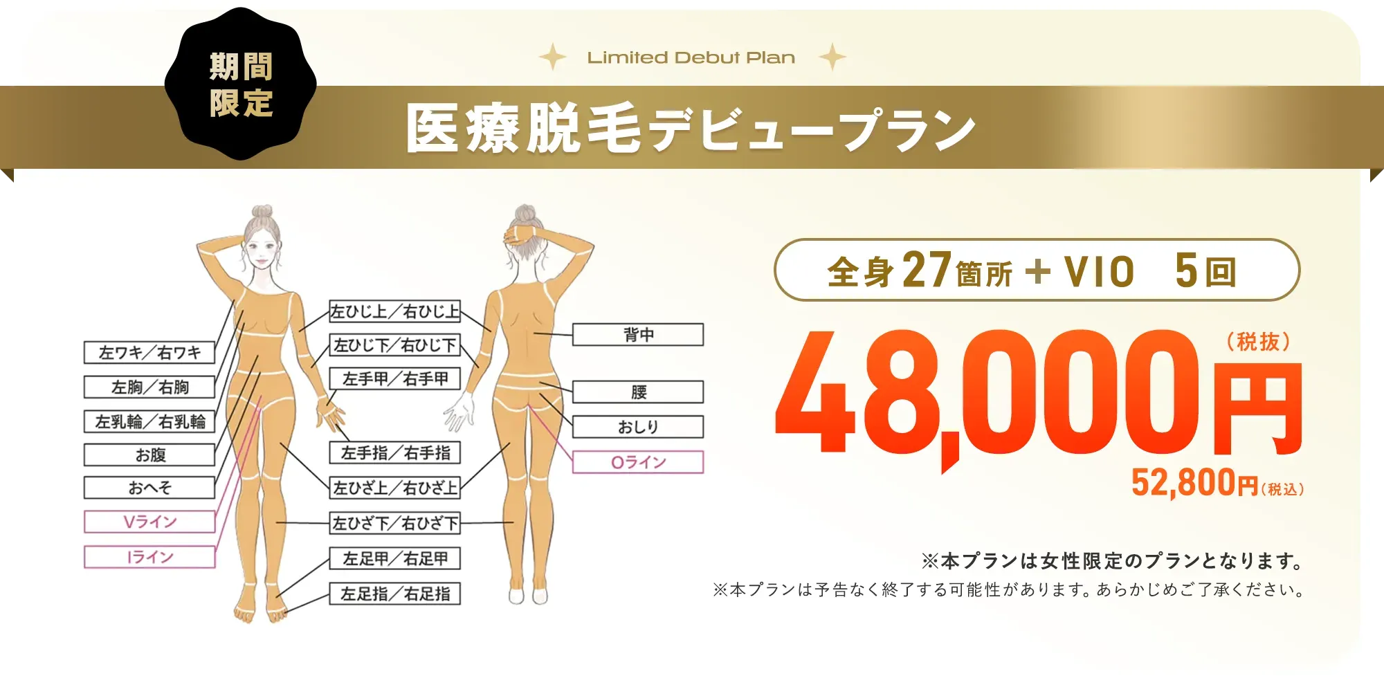 レジーナクリニック医療脱毛デビュープラン全身27箇所+VIO5回