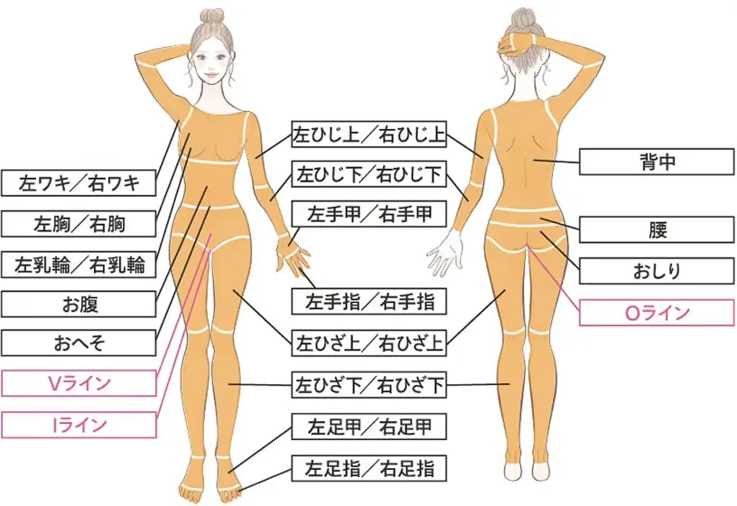 レジーナクリニックのデビュープラン・施術部位
