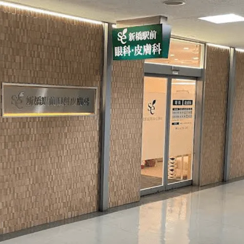 新橋駅前眼科皮膚科の外観の様子