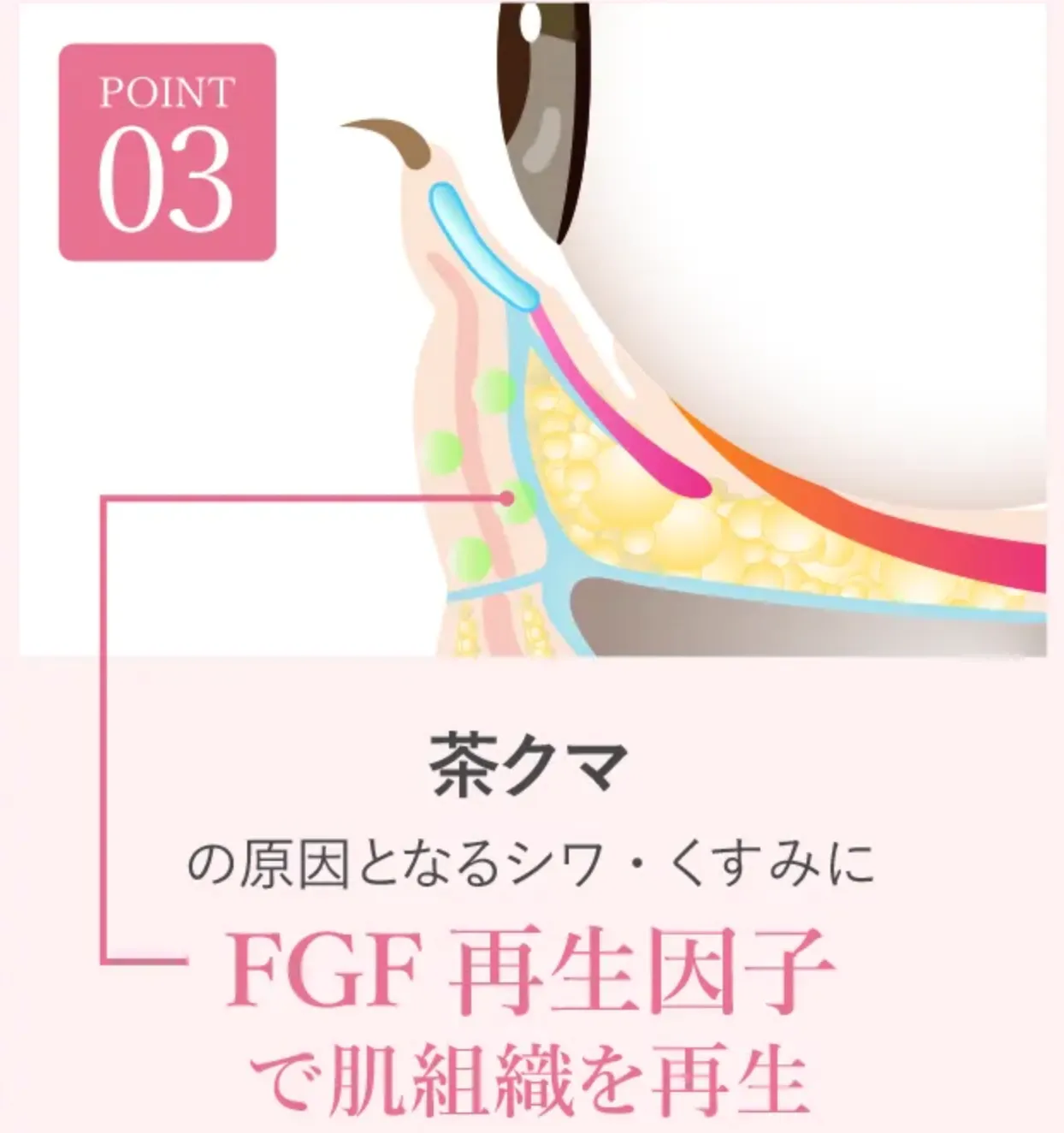 TCBの茶クマの再生方法