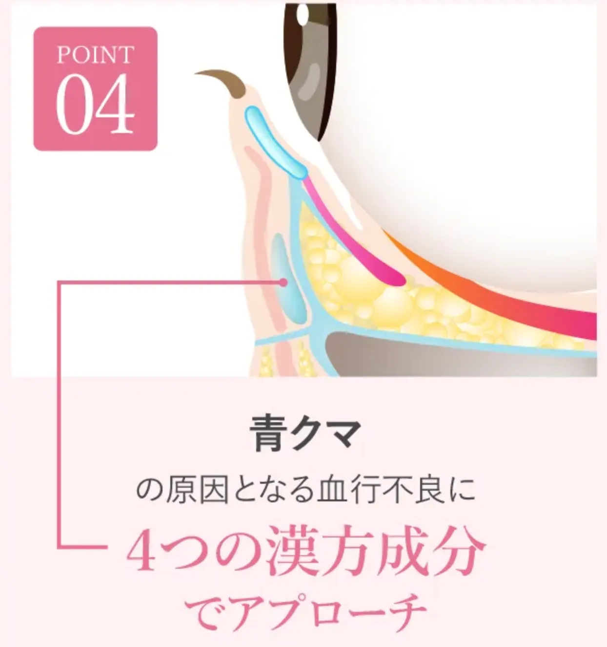 TCBの青クマに対するアプローチ