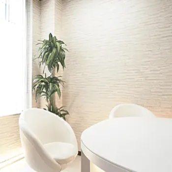 ジョウクリニック 銀座院のジェントルマックスプロによる施術を受ける前のカウンセリングルーム