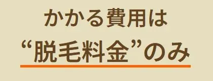 レジーナクリニック かかる費用は脱毛料金のみ