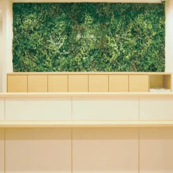 ルシアクリニック 心斎橋院のジェントルマックスプロによる施術を受ける前の受付