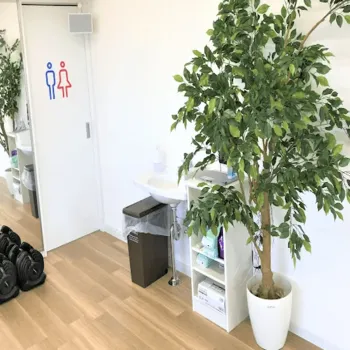 つちかわ整形外科のジェントルマックスプロによる施術を受ける医院の院内の様子