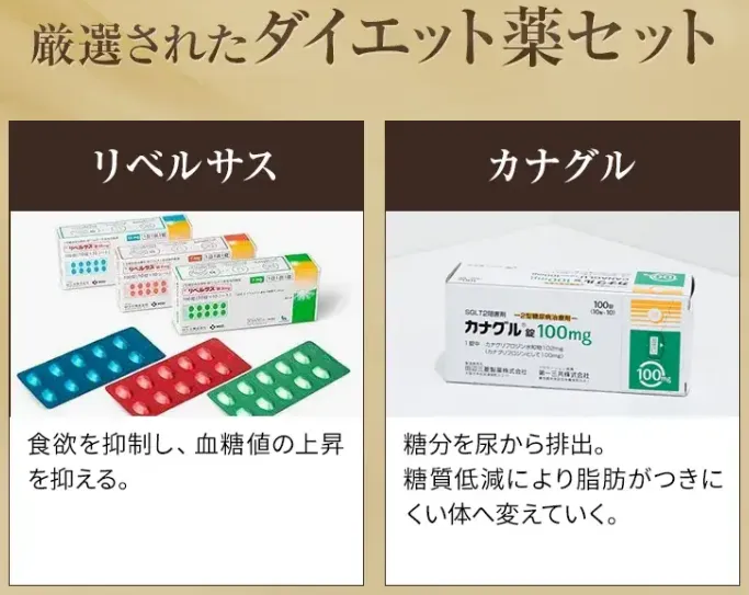 夏食べても痩せる方法があるって本当?専門家が徹底解説【管理栄養士監修】|ダイエット薬の一例