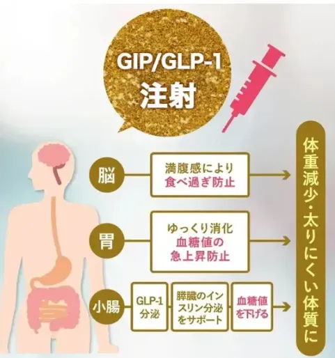夏太り対策!むくみ・水太りに対するコーヒーでのダイエット法も解説【管理栄養士監修】|医療ダイエット注射の作用機序