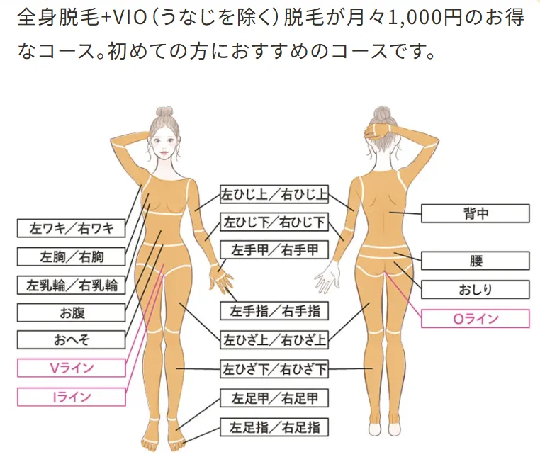 レジーナクリニックのデビュープランの施術箇所について