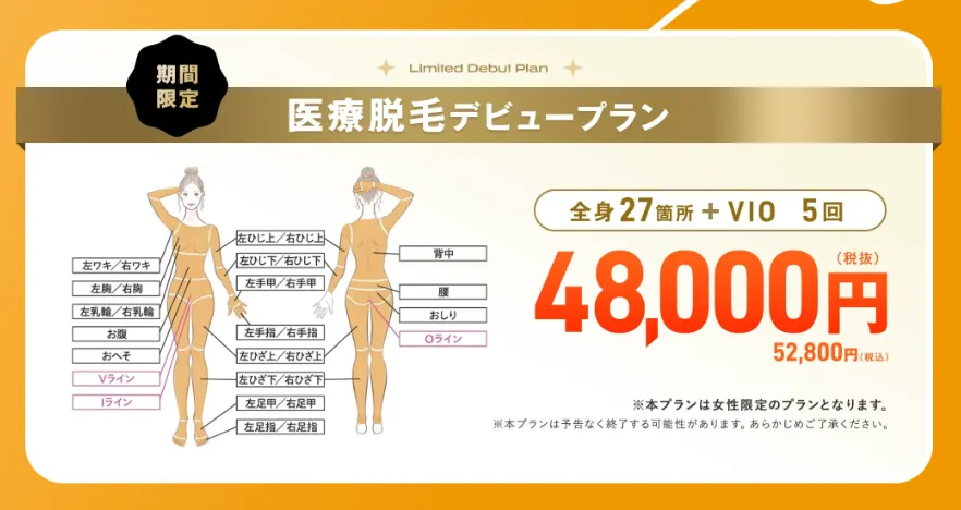 品川区付近のレジーナクリニックで提供しているデビュープラン