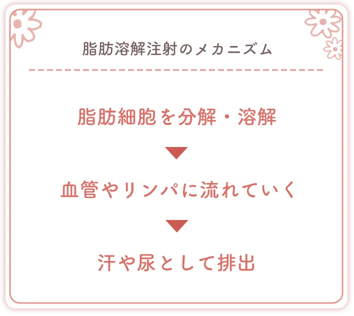 沖縄でおすすめのクリニック TCBの脂肪溶解注射のメカニズム