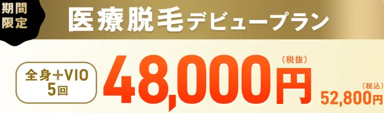 レジーナクリニックの医療脱毛デビュープランについて
