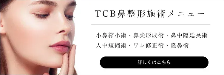 美容整形完全無料モニター　TCB鼻整形施術メニュー