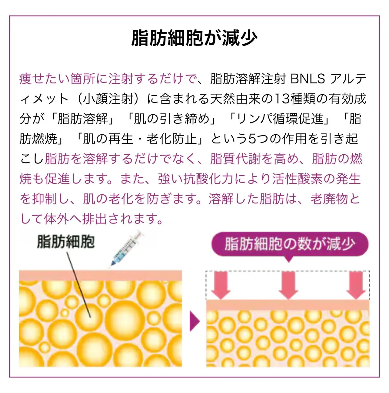 湘南美容クリニックの脂肪溶解注射(BNLSアルティメット)の脂肪細胞減少の仕組み