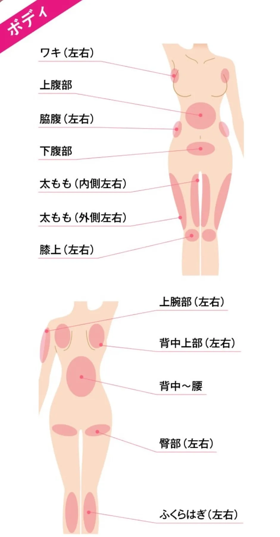 湘南美容クリニックの脂肪溶解注射(BNLSアルティメット)の体の対応可能箇所