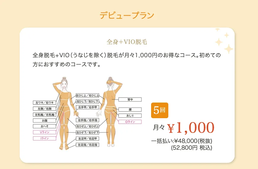 レジーナクリニックのデビュープランの分割払いについて