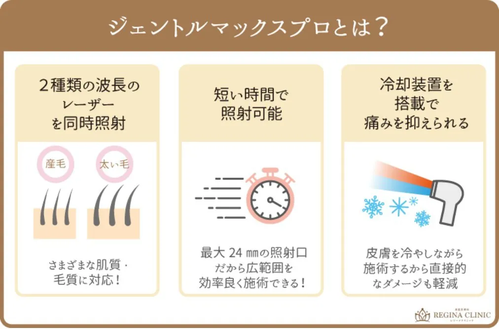 ジェントルマックスプロの画像