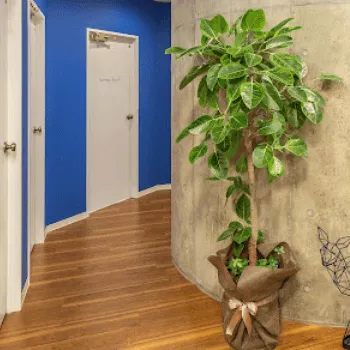 ヴィンテージビューティークリニックの刺青除去を受ける前の廊下